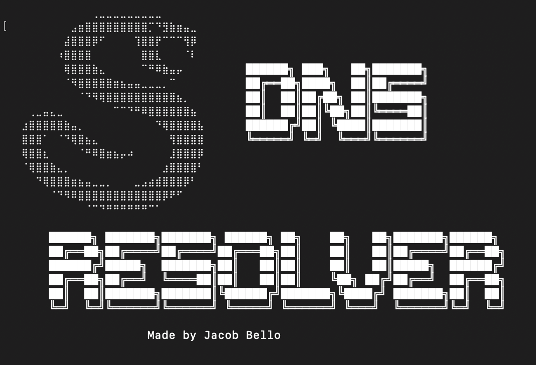 DNS Resolver — Python Tool